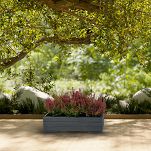 Pflanzkübel aus Holz mit Einsatz und Untersetzer GRAU Pflanzkasten Blumenkasten Balkonkasten 61DES1917AN - 2