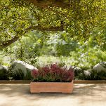 Pflanzkübel aus Holz mit Einsatz und Untersetzer NUSS Pflanzkasten Blumenkasten Balkonkasten 61DES1917NU - 2