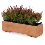 Pflanzkübel aus Holz mit Einsatz und Untersetzer NUSS Pflanzkasten Blumenkasten Balkonkasten 61DES1917NU - 4