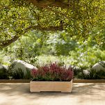 Pflanzkübel aus Holz mit Einsatz und Untersetzer EICHE Pflanzkasten Blumenkasten Balkonkasten 61DES1917EI - 2