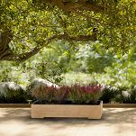 Pflanzkübel aus Holz mit Einsatz und Untersetzer EICHE Pflanzkasten Blumenkasten Balkonkasten 82DES1917EI - 2