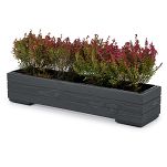 Pflanzkübel aus Holz mit Einsatz und Untersetzer GRAU Pflanzkasten Blumenkasten Balkonkasten 82DES1917AN - 4